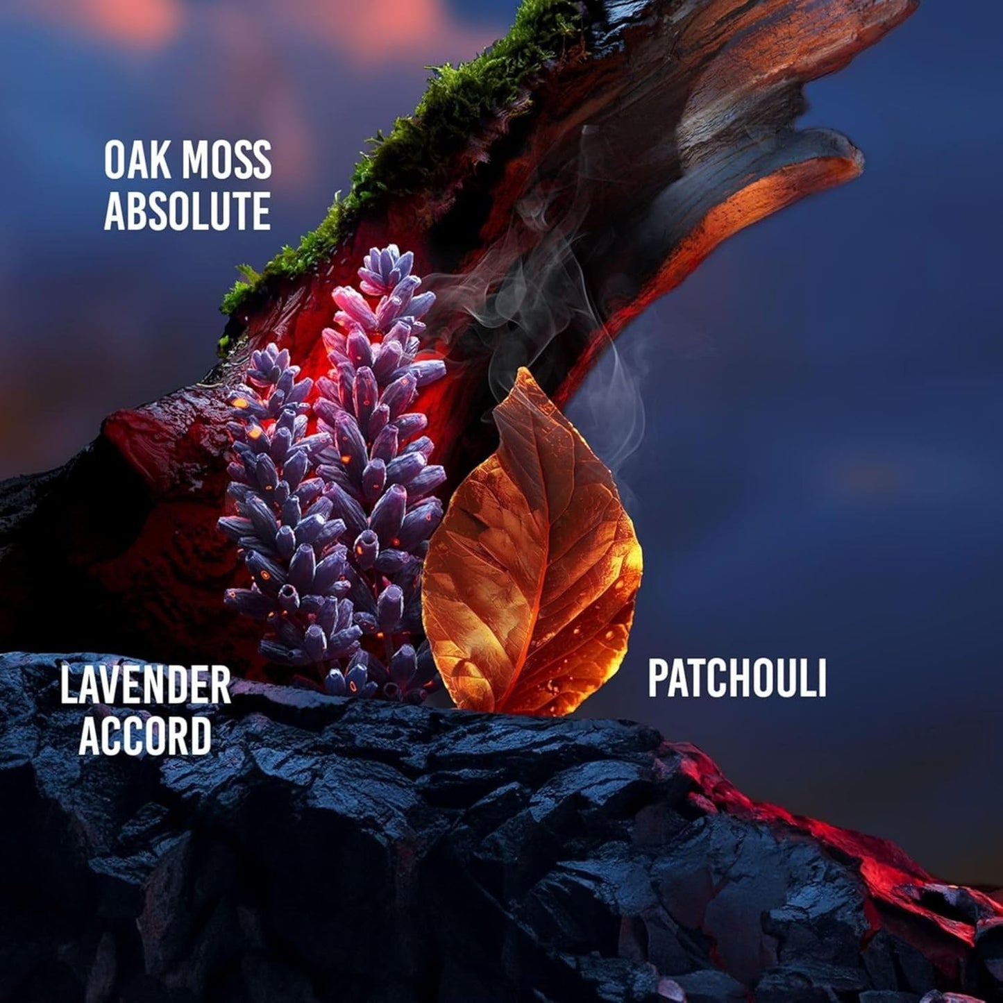 Drakkar Noir by Guy Laroche Eau De Toilette Spray for Men 6.7 oz